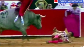A Bullfighter Suffered A Horrific Injury When He Was Gored In The Rectum