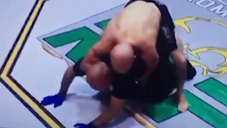 A Fighter Got Hit So Hard He Put The Ref In A Rear Naked Choke