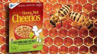 Honey Nut Cheerios’ Mascot Goes Missing As General Mills Attempts To Help Save The Honey Bee