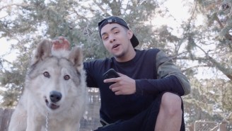 The Guy Famous For Playing Basketball With Deer Is Learning Life Lessons From All Kinds Of Animals