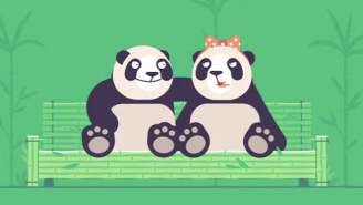 Pornhub Is Employing A Very Unusual (And Sexy) Tactic To Get Pandas Mating For National Panda Day