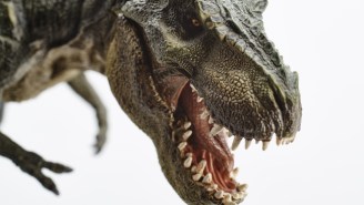 The Tyrannosaurus Rex Was A Carnivore In The Streets, But Sensitive In The Sheets, Suggests A New Study