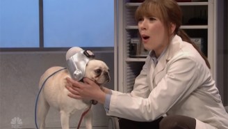 Scarlett Johansson Enters A Nightmare After Discovering Her Dog Is A Trump Supporter On ‘SNL’