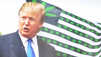 Why The Trump Administration’s Threat To Launch A War On Legalized Weed Might Be A Big Nothingburger