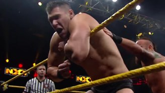 UPDATED: WWE Released A Wrestler And Announcer From NXT