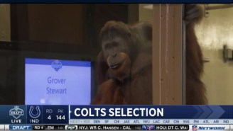 Mike Mayock Got Really Mad About The Colts Announcing Draft Picks With An Orangutan
