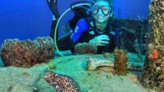 This SCUBA Diver Ditched Expectations To Chase True Happiness