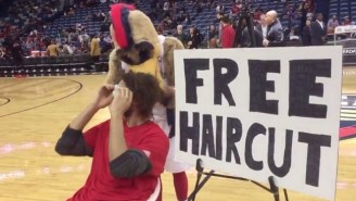 Robin Lopez Took His Latest Bout Of Mascot-Rage Out On Pierre The Pelican