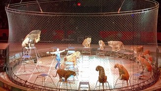 The Final Ringling Bros. Circus Is Viewed As A ‘Celebration’ By Owners And A Win For Animal Rights Activists