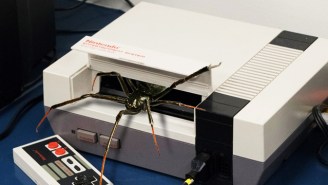 Bootleg Nintendo Games Turn Out To Be Full Of Live Spiders