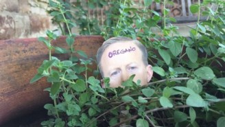 You Can Now Have Sean Spicer In Your Own Bushes Thanks To This Crafty Creation