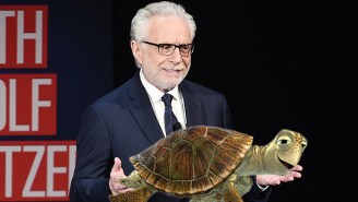 Everybody Is Showing Wolf Blitzer Pictures Of Turtles For This Strange And Silly Reason