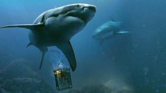 ’47 Meters Down’ Is Satisfying, Shark-Filled Junk