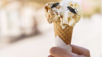 You Can Get Your Cricket Fix In A Scoop Of Ice Cream Now