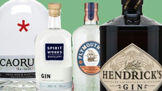 All The Best Gins To Drink On World Gin Day