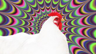 Your ‘All Natural’ Chicken Might Have Everyone’s Favorite Party Drug In Its System