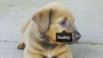 The Compton Rapper ‘Buddy’ Keeps Getting Tagged In Adorable Instagram Pics Of Dogs Who Share His Name