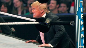 The Journalist Who Broke The Source Of Trump’s WWE GIF Shares The Horrific Aftermath