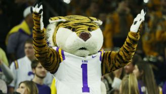 A Man Was Arrested For Sneaking Into LSU’s Tiger Stadium With A Prostitute