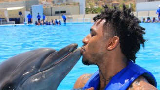 Nick Young Has Apparently Conquered His Debilitating Fear Of Dolphins