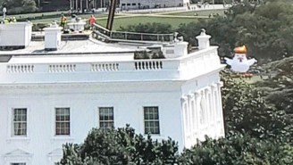 Everyone’s Talking About The Inflatable Chicken With Trump Hair Behind The White House