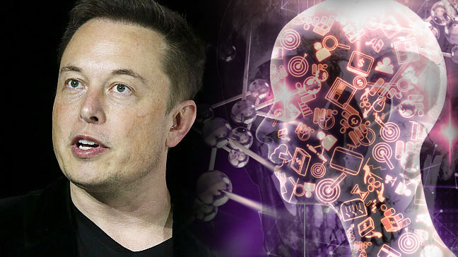 Elon Musk And The Fear For Artificial Intelligence Shannon 100