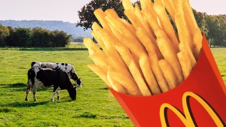 Malcolm Gladwell Has Some Serious Thoughts About McDonald’s Fries