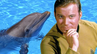 William Shatner Pleads With ‘Star Trek’ Cruise To Ditch The ‘Dolphin Swim’ Excursion