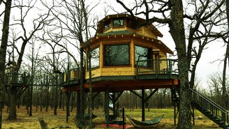Meet The Designer Of The Coolest Treehouses In The World