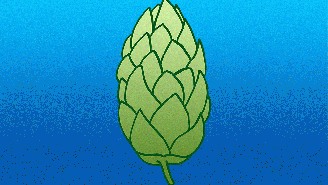 A Hop-Filled Quest For The Perfect Beer