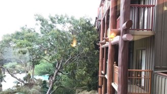 Disney World Guests Shared Photos Of Hurricane Irma Damage In The Wake Of The Storm