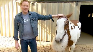 Conan Apolgizes To David Letterman For Messing Up His Horse Joke With A Horse Joke Of His Own