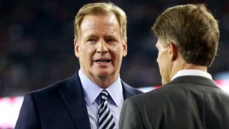 Roger Goodell’s Wife Used A Kevin Durant-Esque Burner Twitter Account To Defend Her Husband