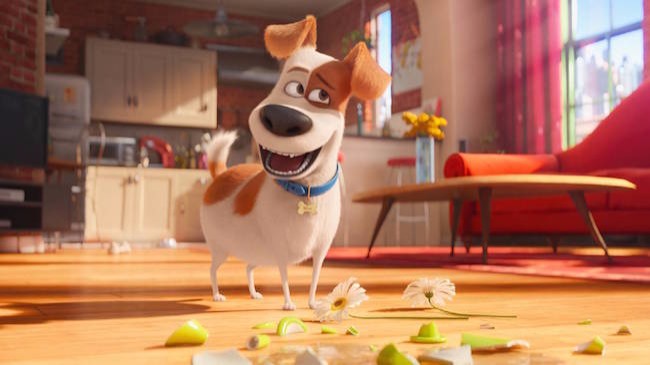 'Secret Life Of Pets 2' Cuts Louis C.K. From The Sequel