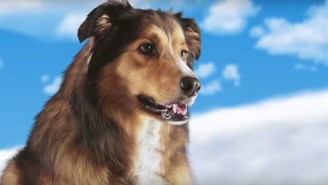 Notes About The Trailer For ‘Best Friend From Heaven,’ A Film About A Ghost Dog Wedding Planner