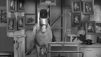 About The Time Mister Ed Hit A Home Run Off Of Sandy Koufax