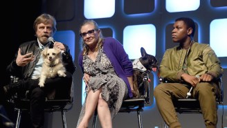 Carrie Fisher’s Dog Gary Reportedly Had A Heartbreaking Reaction While Watching ‘Star Wars: The Last Jedi’