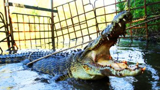 How Australia’s ‘Monster Croc Wrangler’ Charts A New Path For Animal Conservation