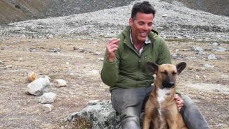 Steve-O’s Connection With A Peruvian Street Dog Proves Jackasses Can Have Huge Hearts