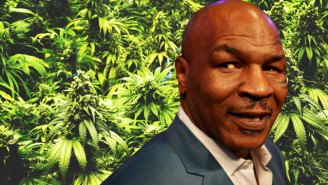 Mike Tyson Is Getting Into The Legal California Weed Business With His Innovative ‘Tyson Ranch’