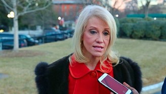 Report: No One Seems To Know What Kellyanne Conway’s ‘Opioid Cabinet’ Is Actually Doing