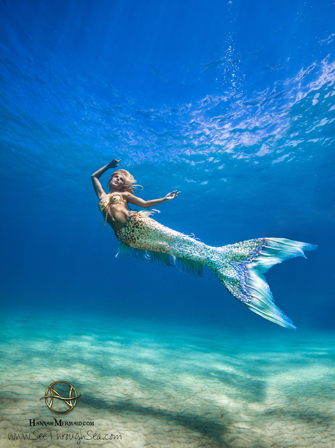 Meet A Photographer Who Shares The Beauty Of Hawaii From Underwater