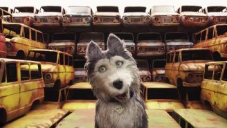 Bill Murray And The ‘Isle Of Dogs’ Cast Explain Their Dog Characters As Dogs