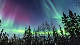 Catch The Northern Lights Tonight — They’re Dipping Way Further South Than Normal
