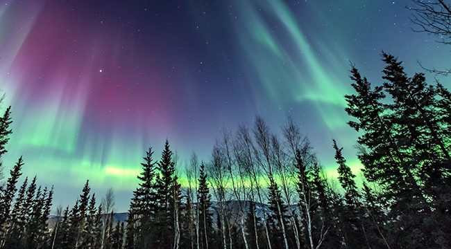 Where To Catch Tonight's Northern Lights