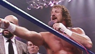Wrestling Legend Terry Funk Is Calling Out Donald Trump And Joe Biden For A Triple Threat