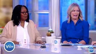 ‘The View’ Worries That The Demise Of Toys R’ Us Could Lead To Other Kinds Of ‘Toy’ Shops Closing