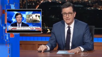 Stephen Colbert Roasts Tucker Carlson For Stealing His Bit With The ‘Sex-Crazed’ Pandas Segment