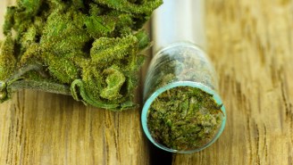 An FDA Panel Has Backed A Marijuana-Based Drug To Treat Childhood Seizures