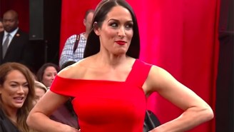 Nikki Bella’s Running The ‘American Ninja Warrior’ Course For A Great Cause